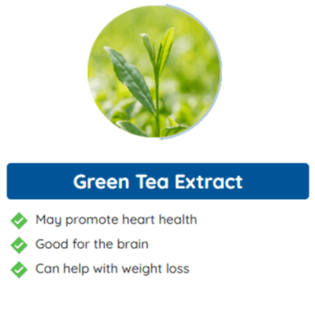 Neuro surge  ingredients