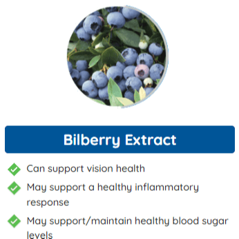 Neuro surge  ingredients