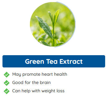 Neuro Surge Ingredients4