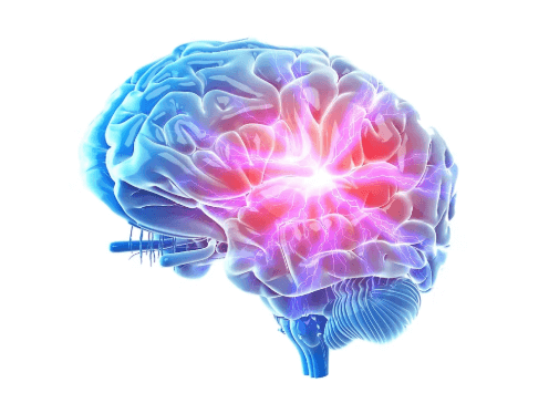 Top 10 Natural Ingredients for Brain Health